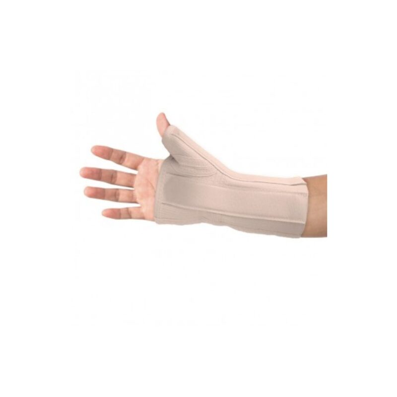 Estabilizador Polegar Palmar C800 Dir.